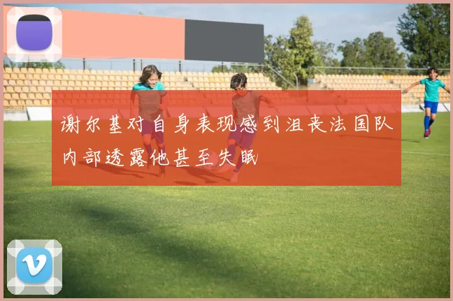谢尔基对自身表现感到沮丧法国队内部透露他甚至失眠