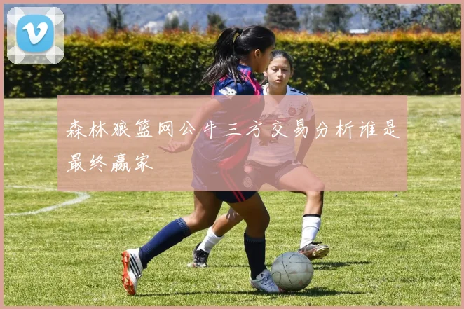 森林狼篮网公牛三方交易分析谁是最终赢家