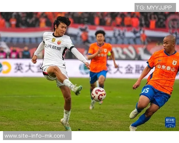 山东泰山中超主场战绩辉煌10胜3平2负强势表现引发关注 山东泰山中超主场战绩辉煌10胜3平2负强势表现引发关注